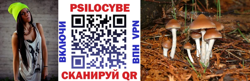Псилоцибиновые грибы Psilocybe  Серов 